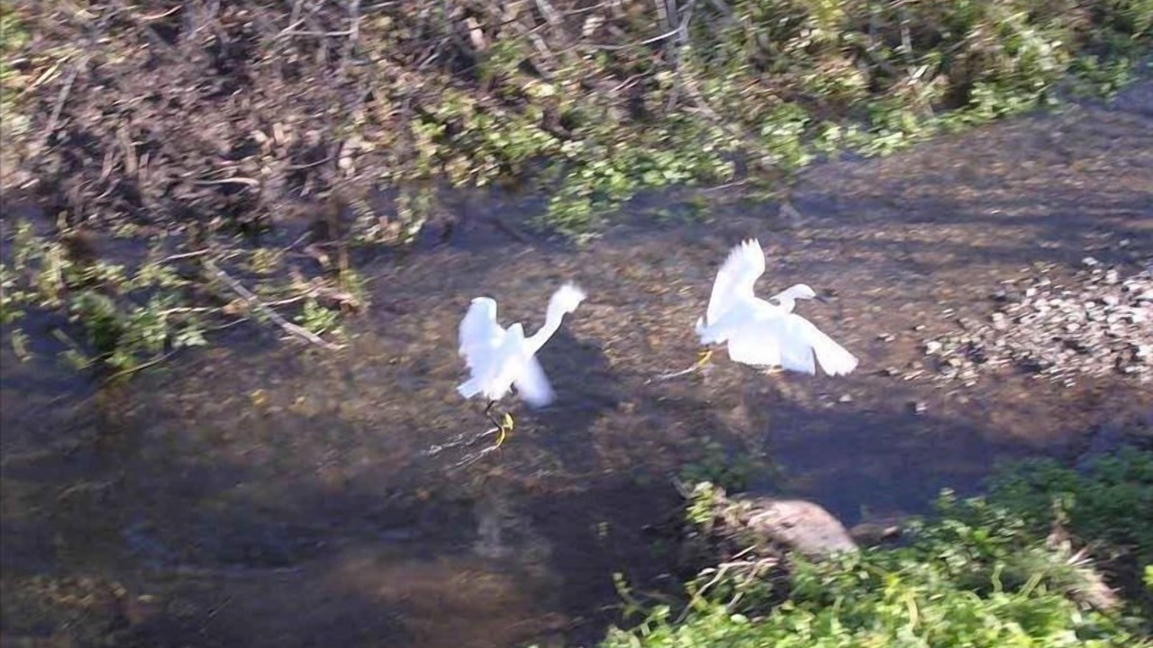 Photo of Others in Stinson Beach