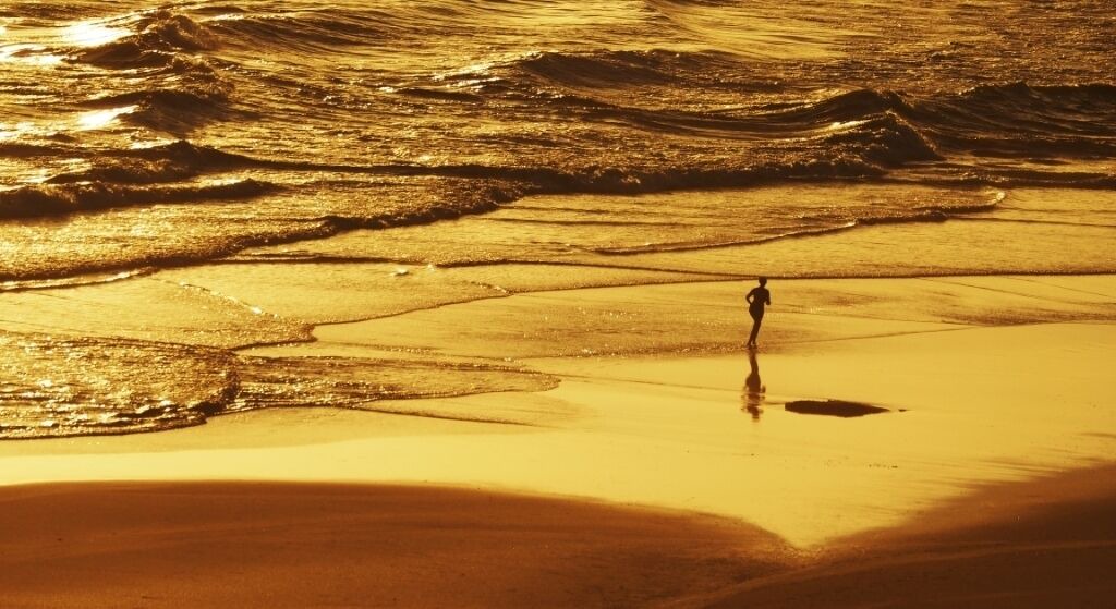 Photo of Others in Wilderness