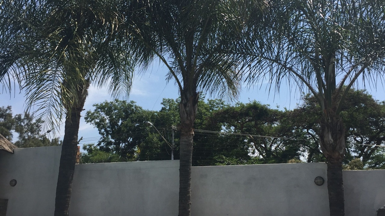 Photo of Outdoor in Pretoria