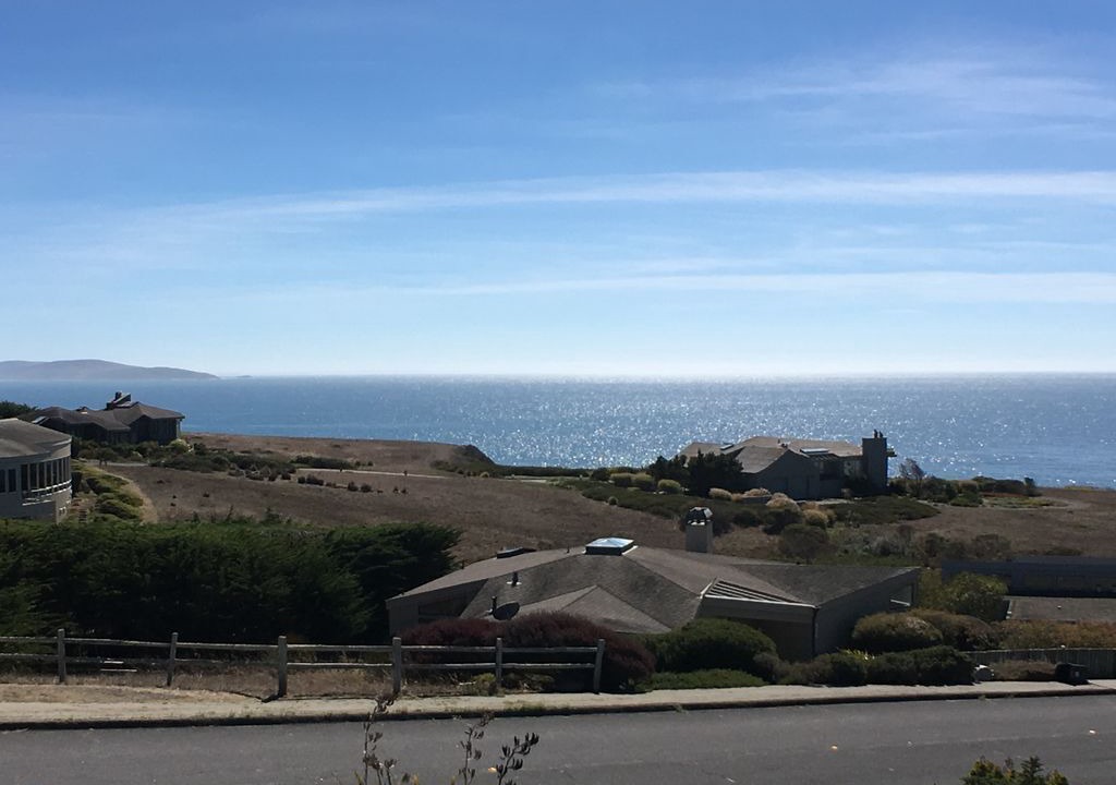 Photo of Others in Bodega Bay