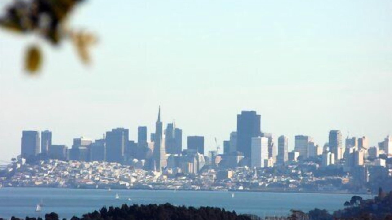 Photo of Others in Mill Valley