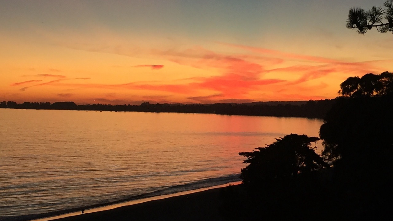 Photo of Others in Rio del Mar
