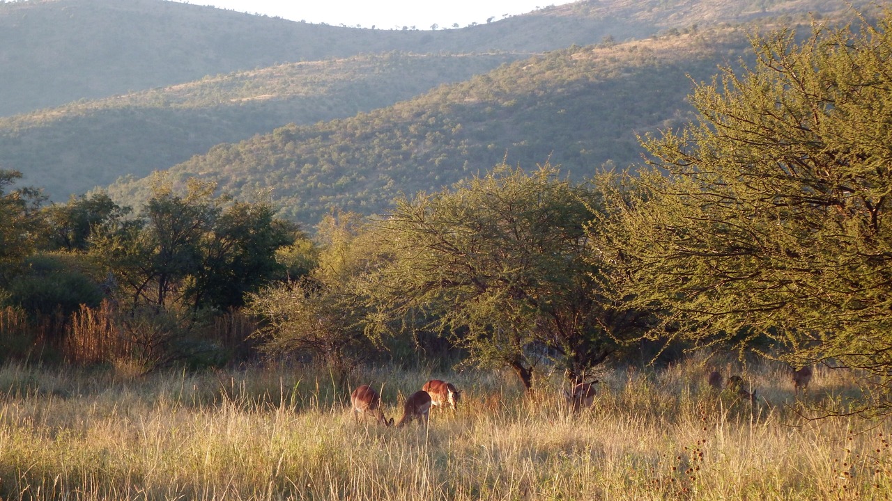 Photo of Outdoor in Bela-Bela