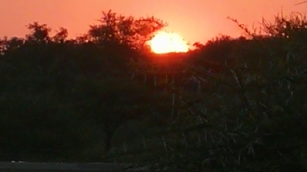 Photo of Others in Bela-Bela