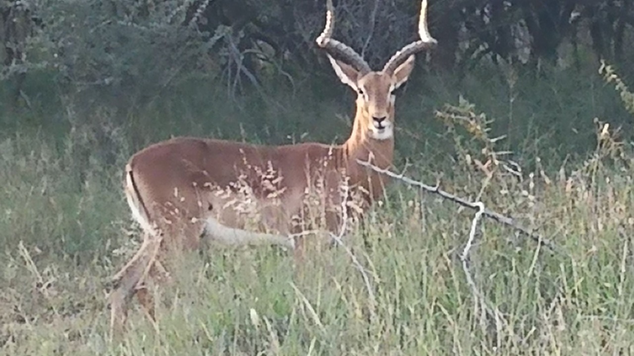 Photo of Outdoor in Bela-Bela