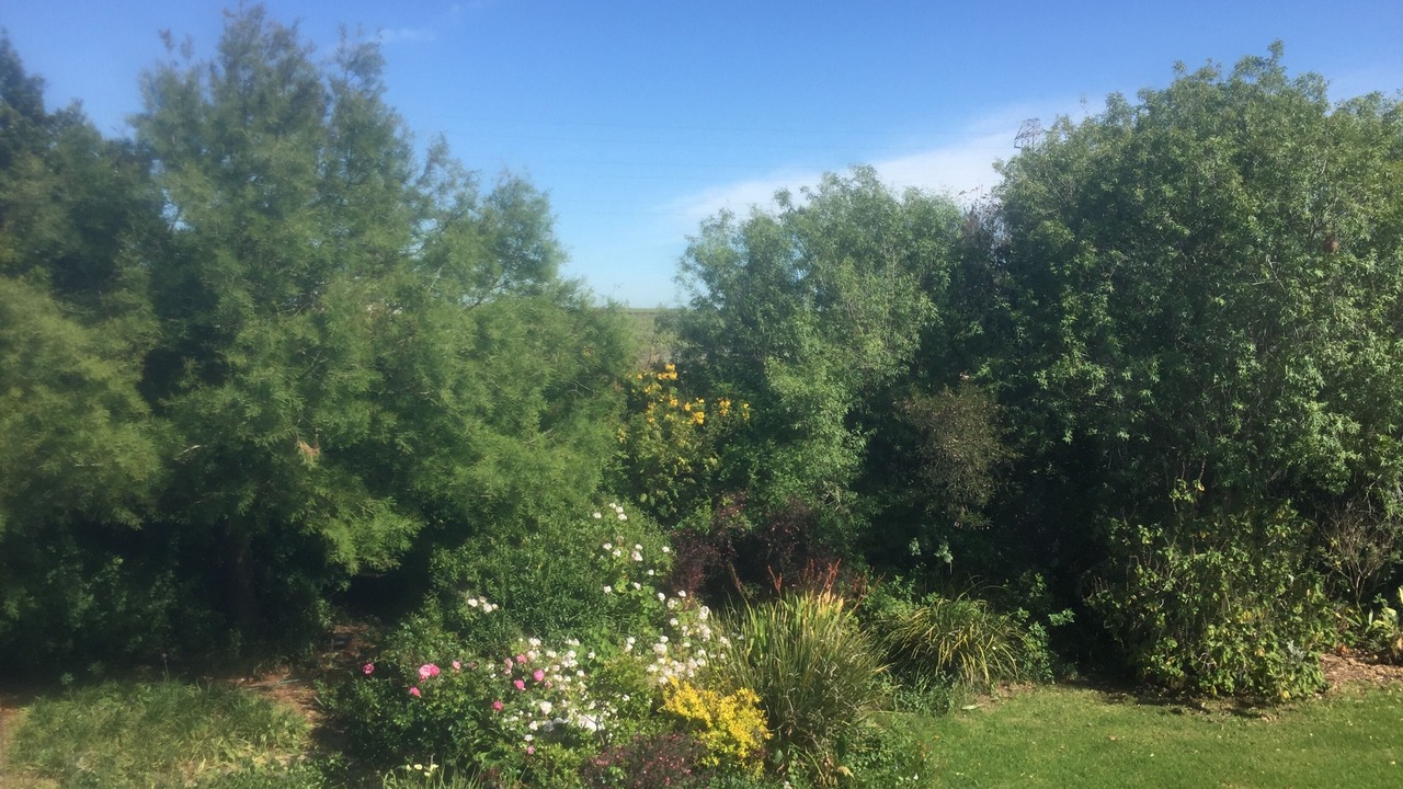 Photo of Outdoor in Raithby
