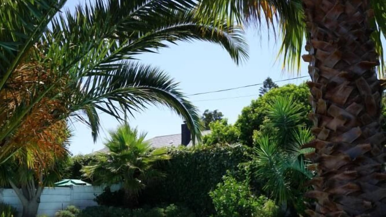 Photo of Outdoor in Somerset West