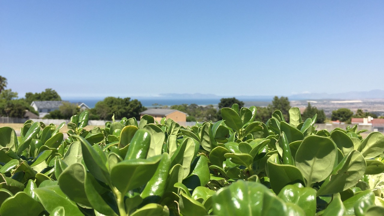 Photo of Outdoor in Somerset West