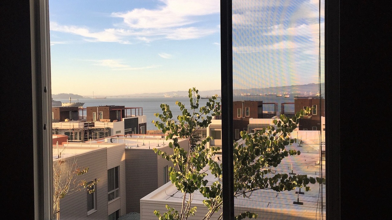 Photo of Others in Hunters Point