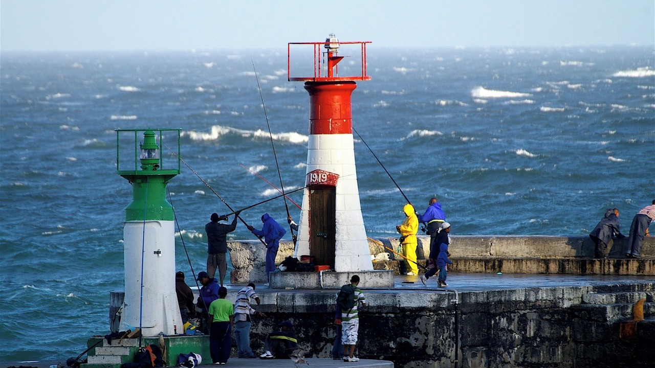 Photo of Others in Kalk Bay