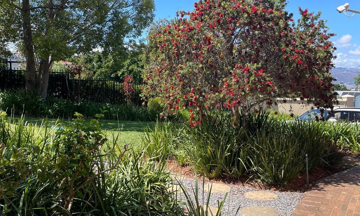 Photo of Outdoor in Somerset West