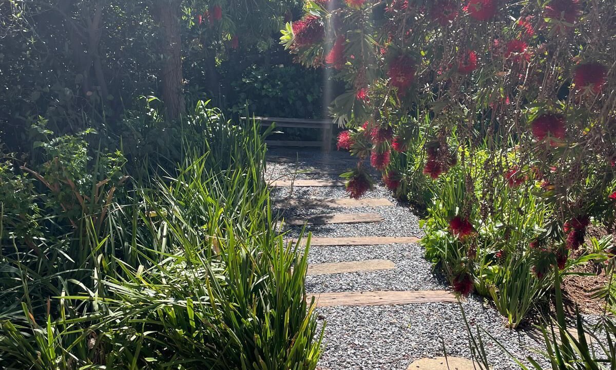Photo of Outdoor in Somerset West