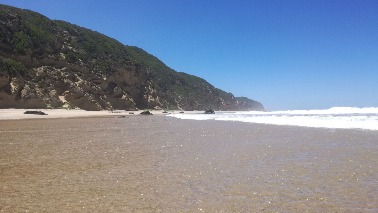 Photo of Others in Sedgefield