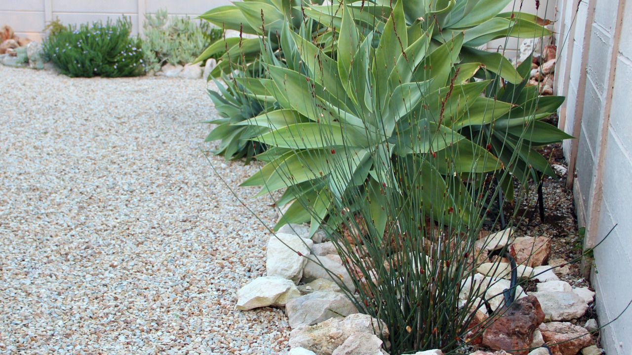 Photo of Outdoor in De Kelders