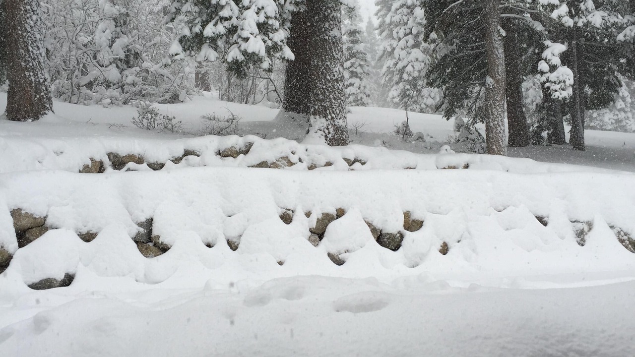 Photo of Others in Truckee
