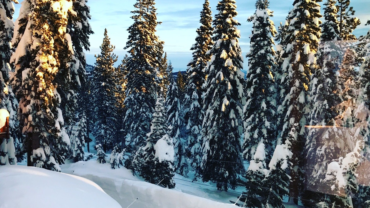 Photo of Others in Truckee