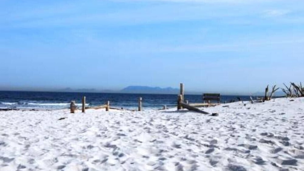 Photo of Others in Pringle Bay