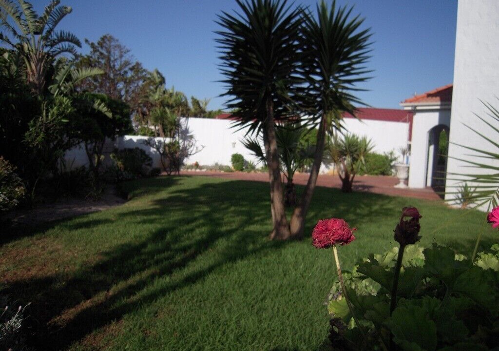 Photo of Outdoor in Grassy Park