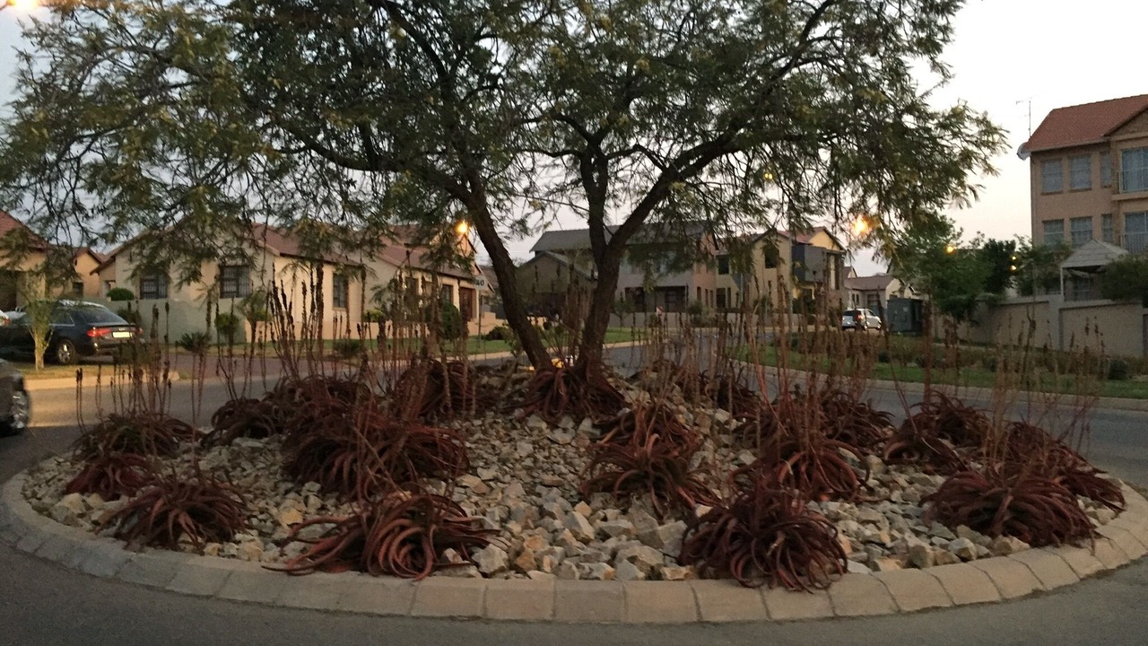Photo of Outdoor in Centurion