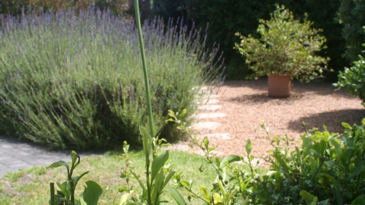 Photo of Outdoor in Noordhoek