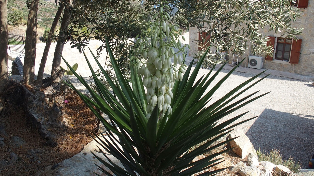 Photo of Outdoor in Mesudiye
