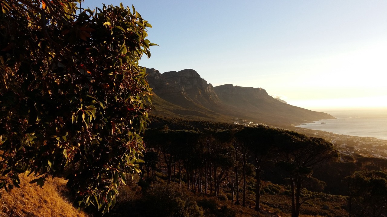 Photo of Others in Fish Hoek