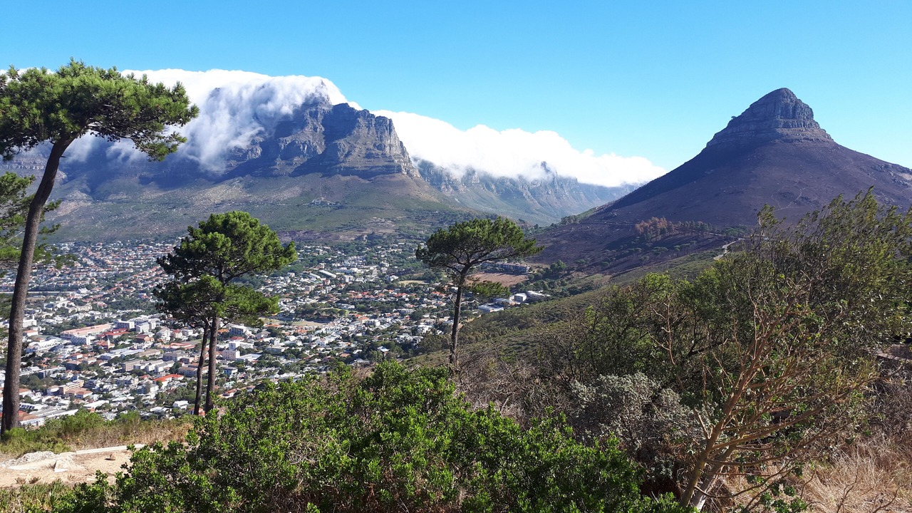 Photo of Others in Fish Hoek