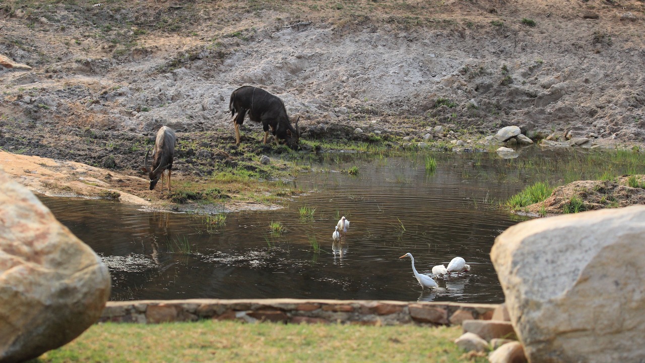 Photo of Outdoor in Vaalwater