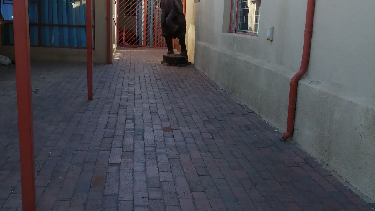 Photo of Others in Primrose