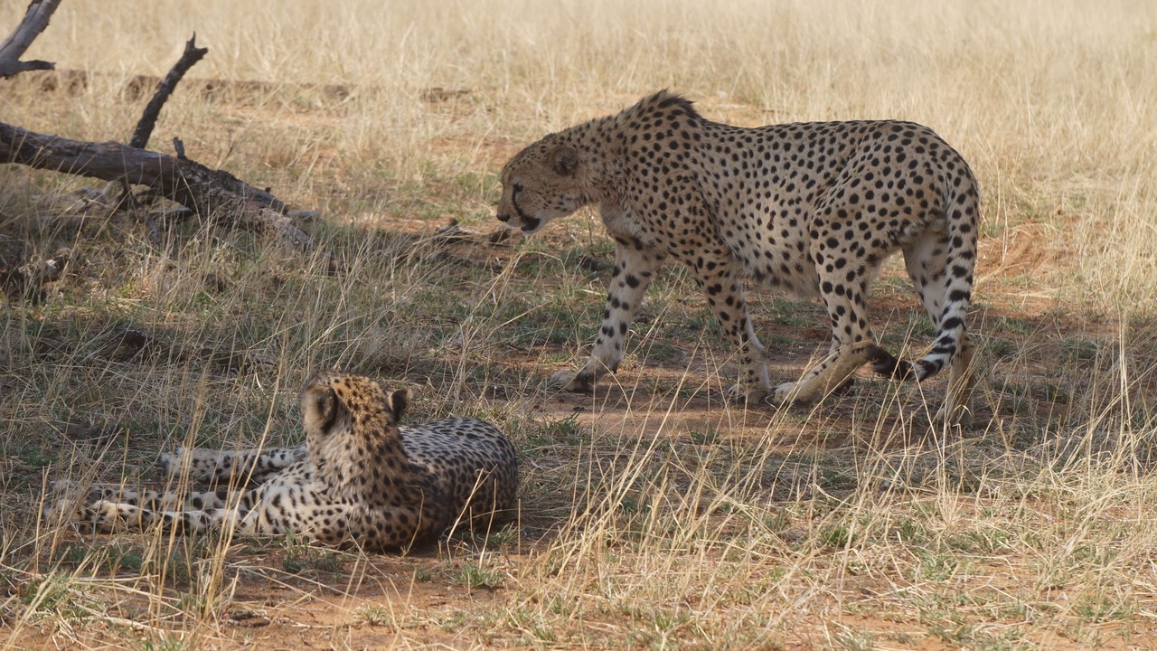 Photo of Outdoor in Hoedspruit
