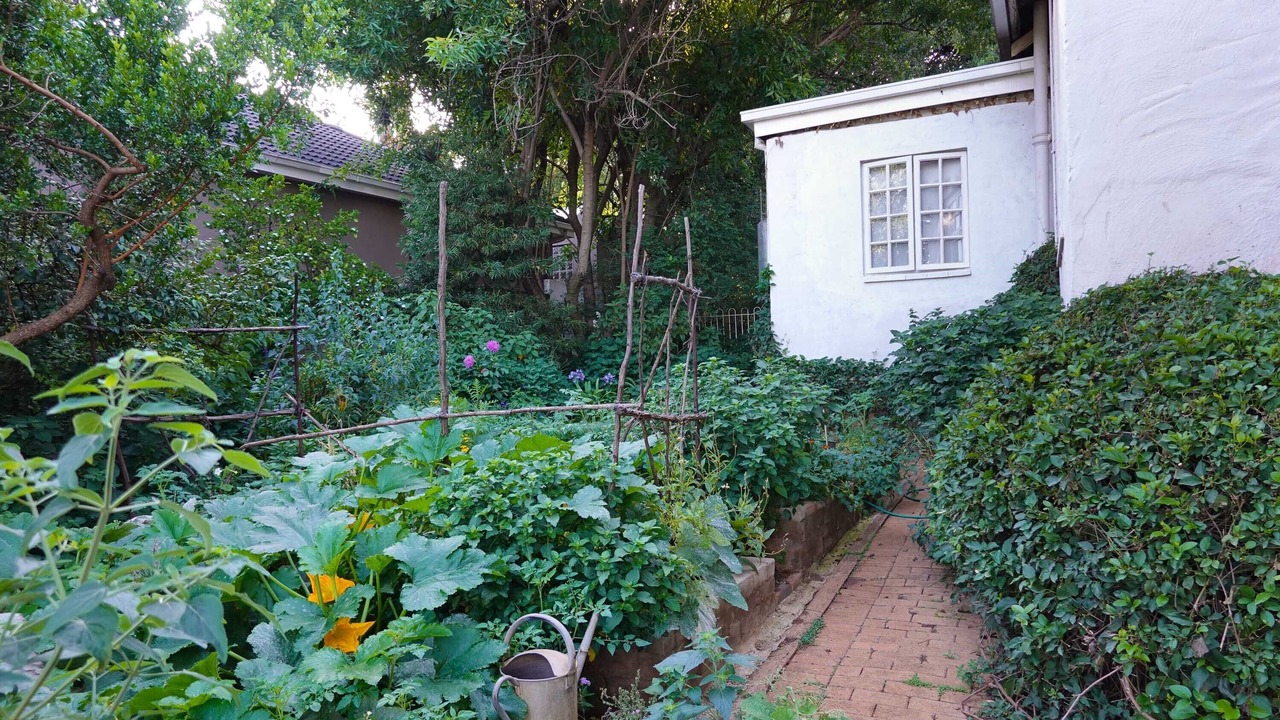 Photo of Outdoor in Parkview