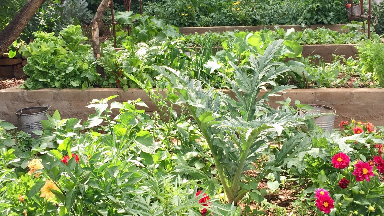 Photo of Outdoor in Parkview