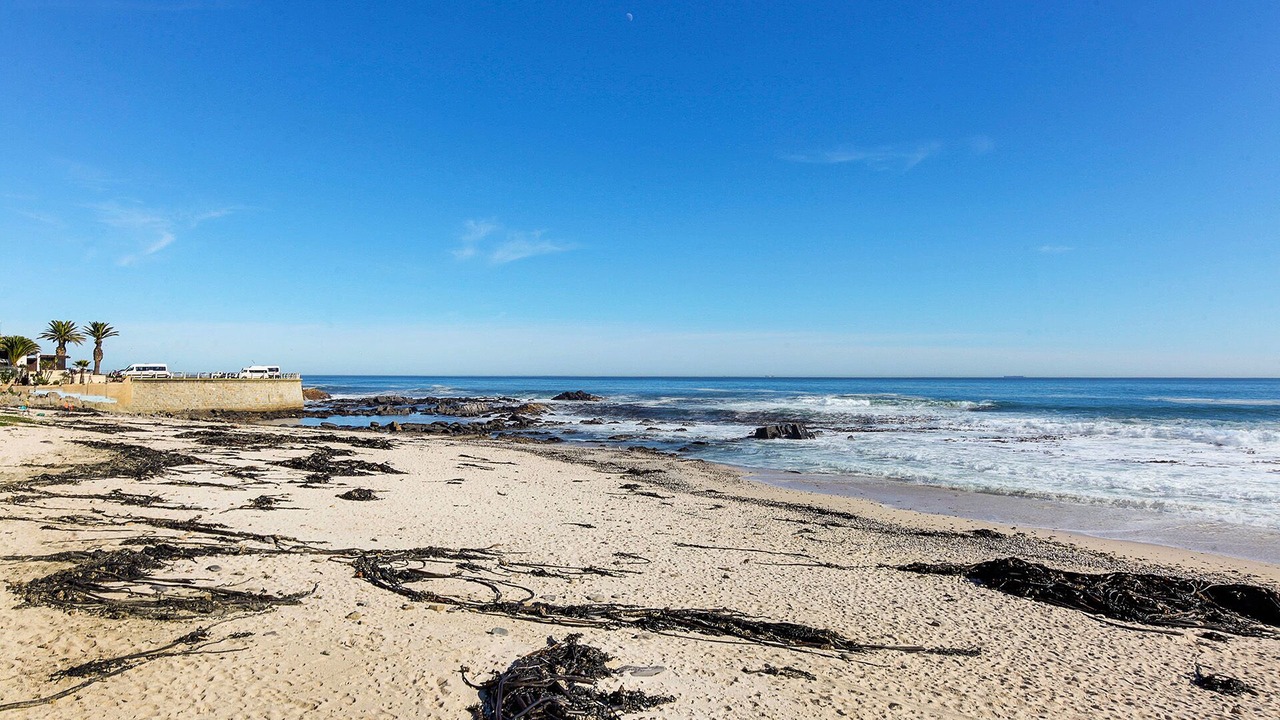 Photo of Others in Sea Point