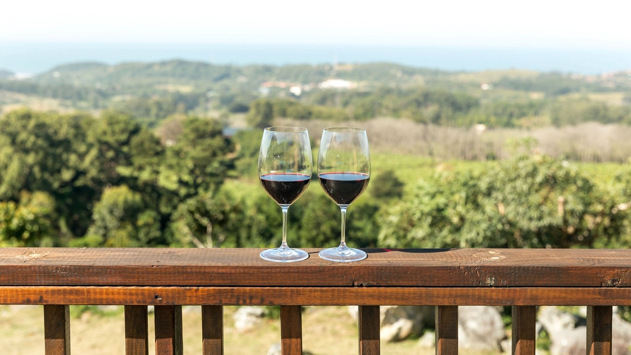 Photo of Outdoor in Hibiscus Coast
