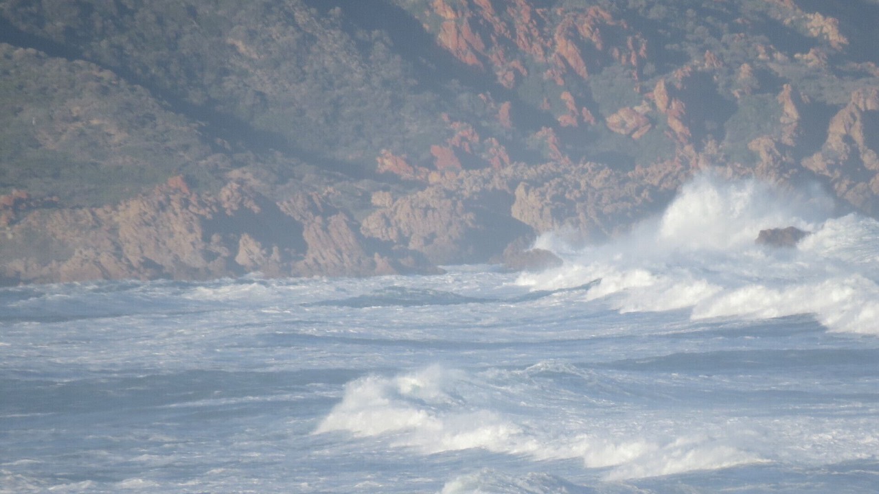 Photo of Others in Dana Bay