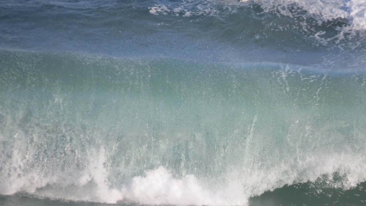 Photo of Others in Dana Bay