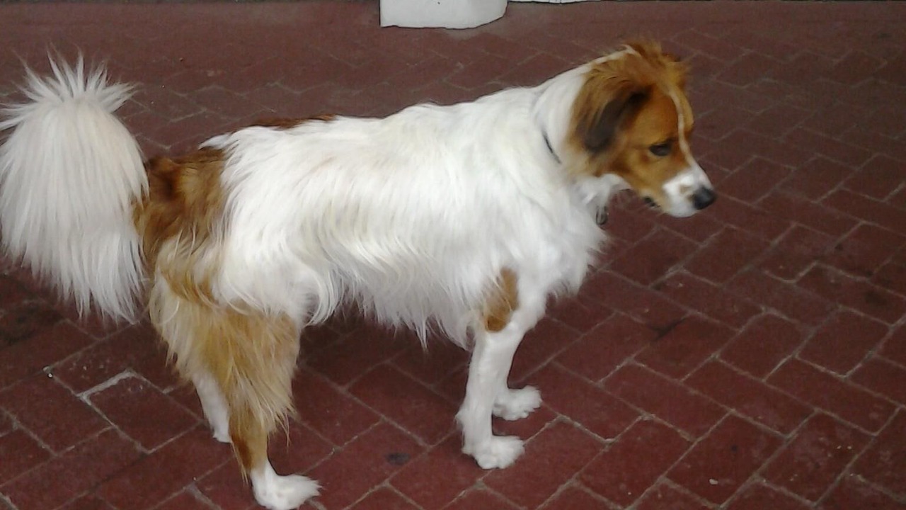Photo of Others in Port Elizabeth Central