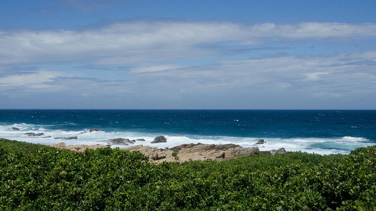 Photo of Others in Cape Saint Francis