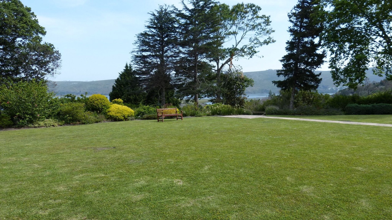 Photo of Outdoor in Knysna
