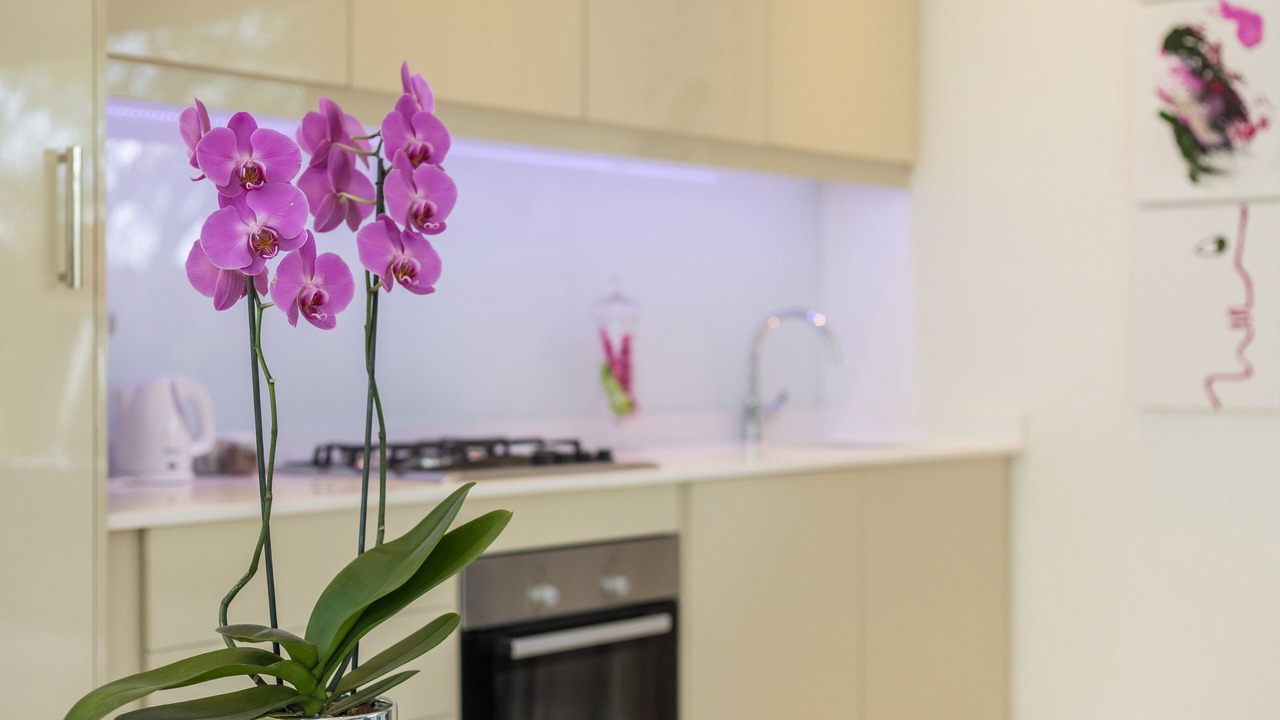 Photo of Kitchen in Greater Johannesburg Metropolitan Area