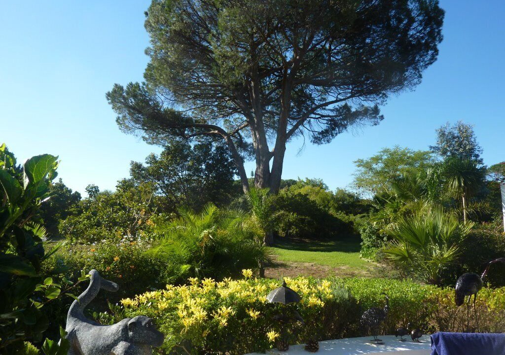 Photo of Outdoor in Trawal