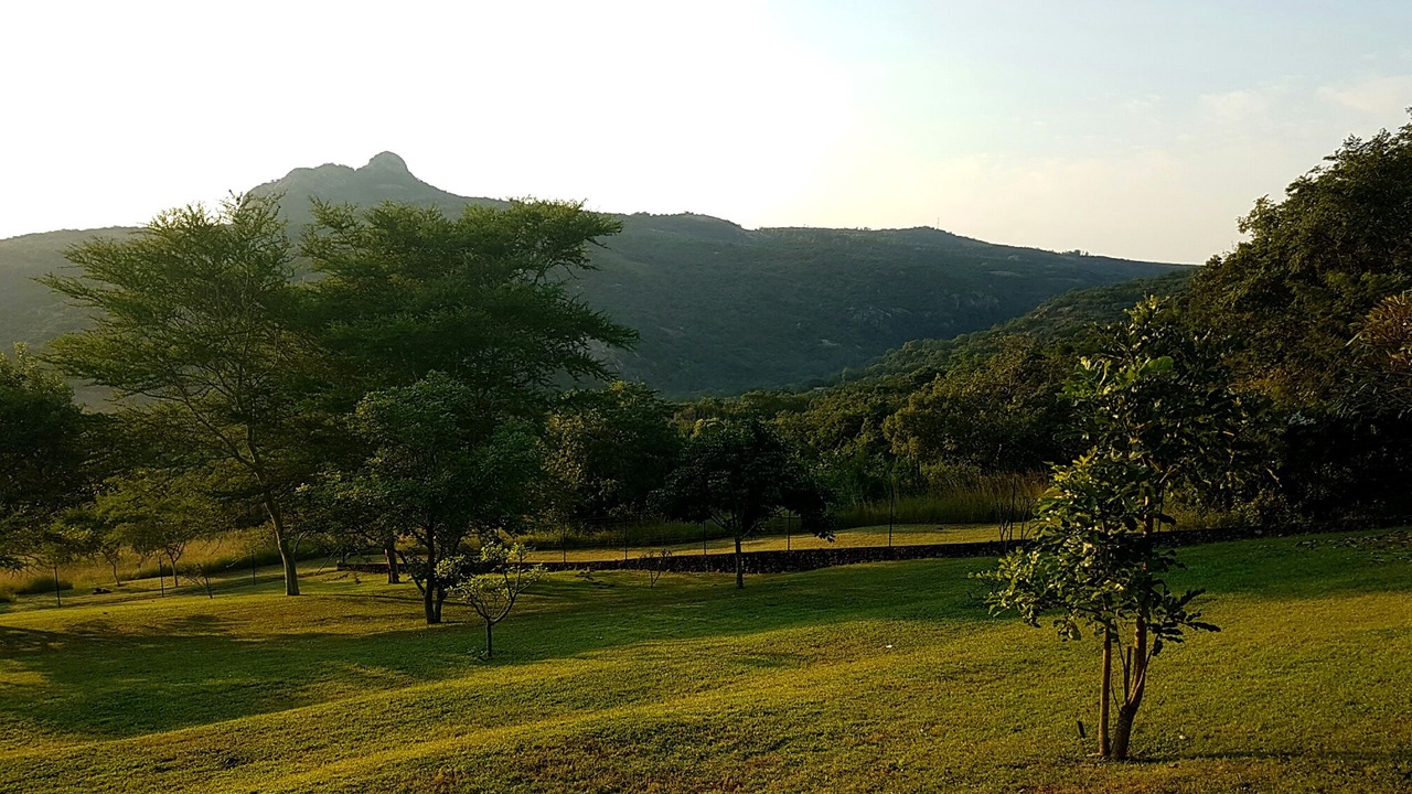 Photo of Outdoor in White River
