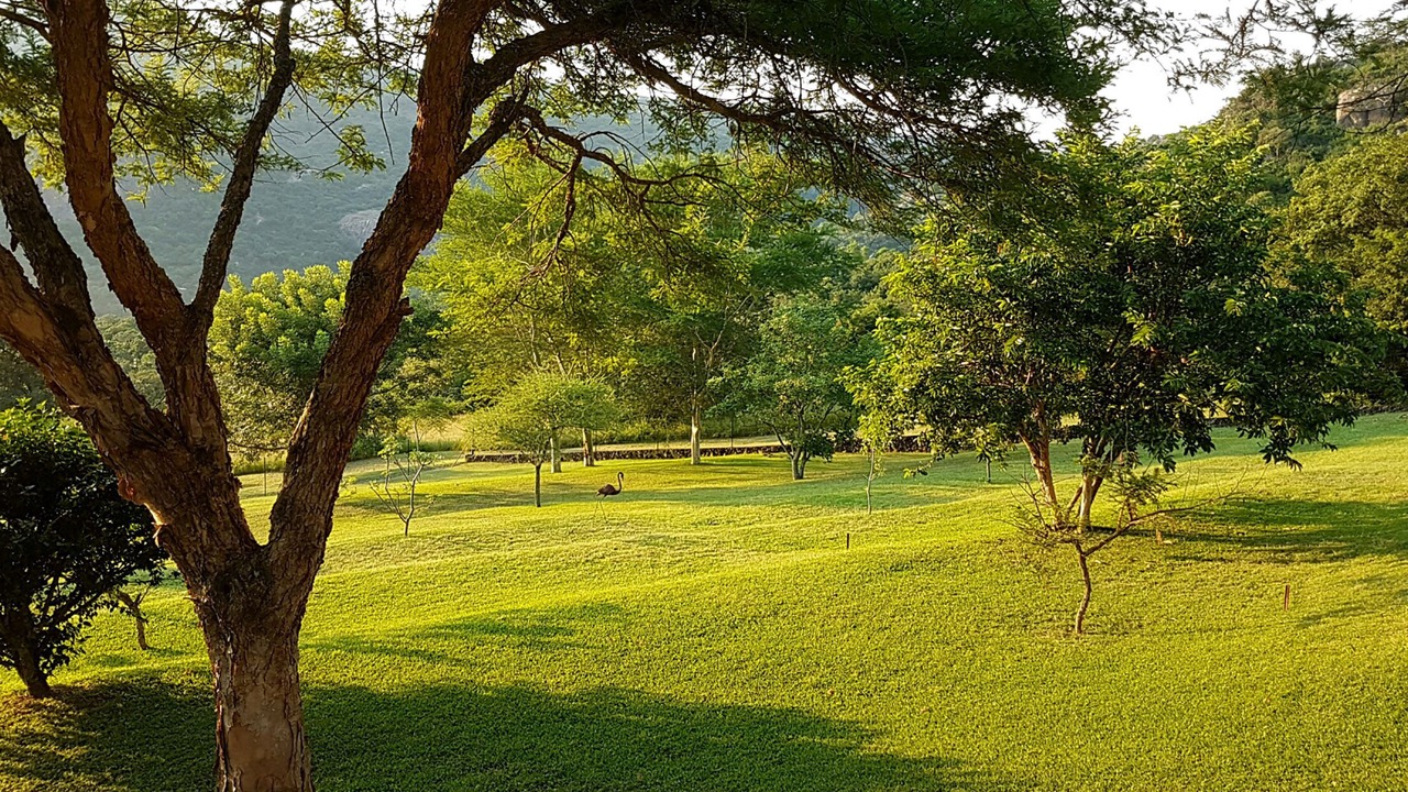 Photo of Outdoor in White River