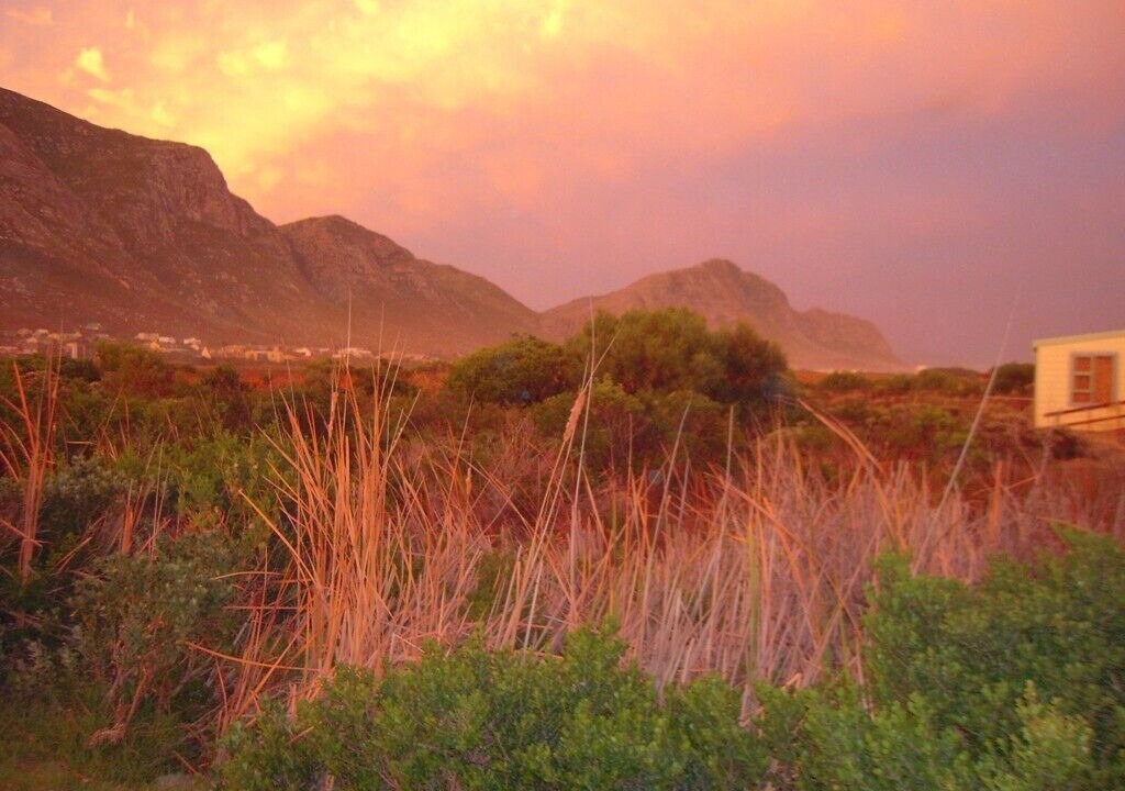 Photo of Others in Betty's Bay