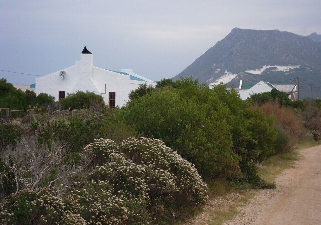 Photo of Outdoor in Betty's Bay