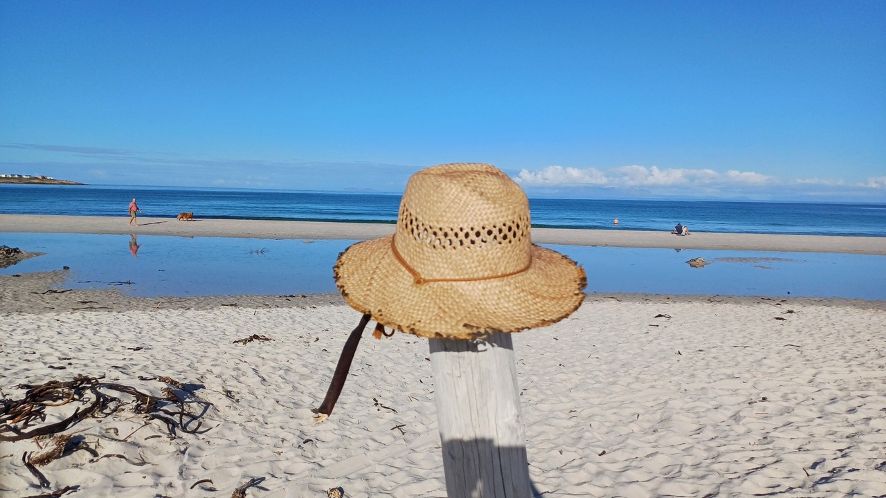 Photo of Others in Pringle Bay