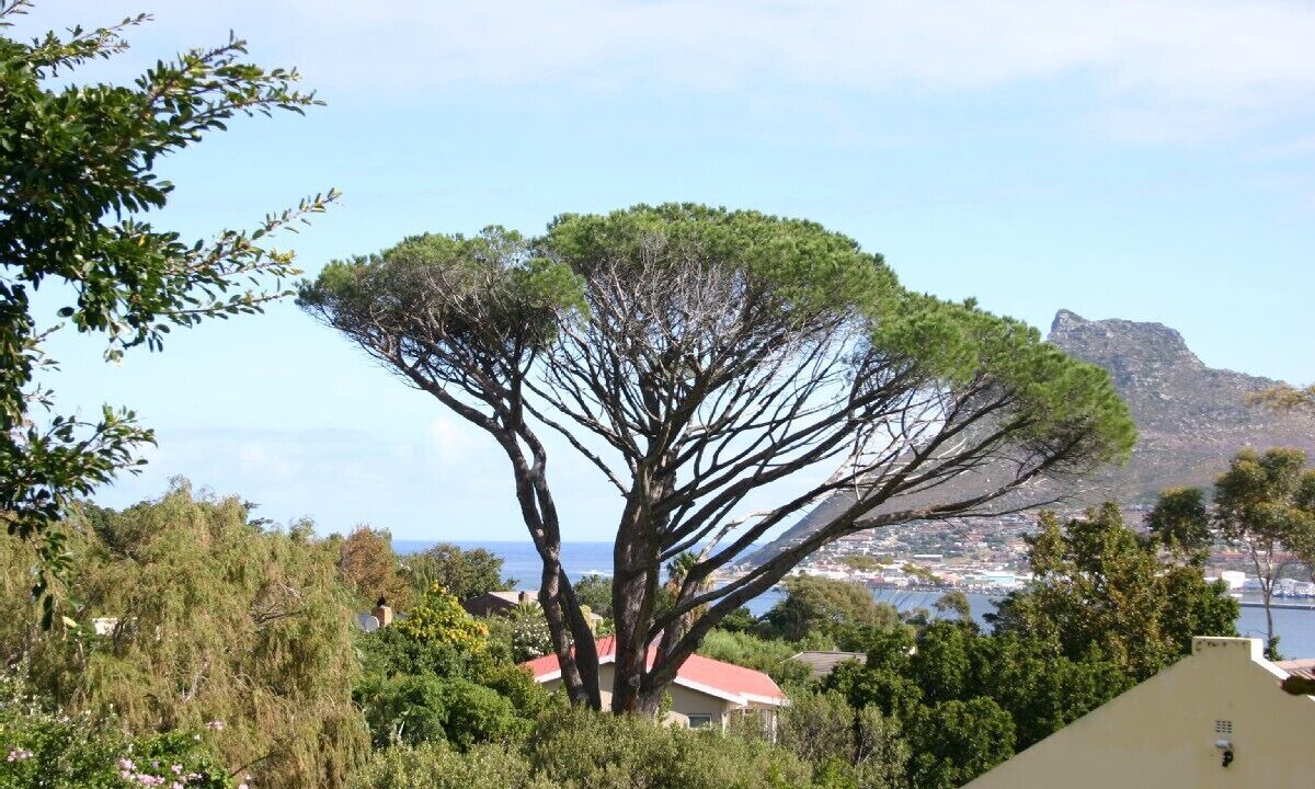 Photo of Others in Scott Estate