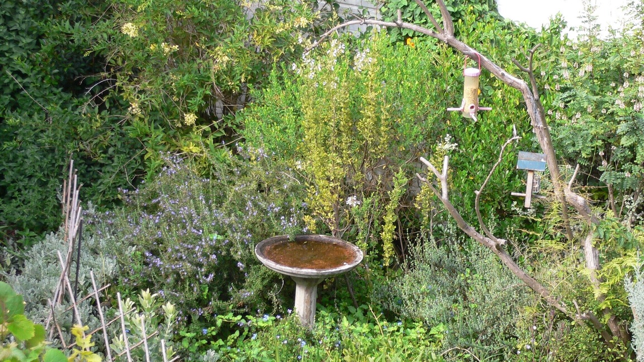 Photo of Outdoor in Westlake