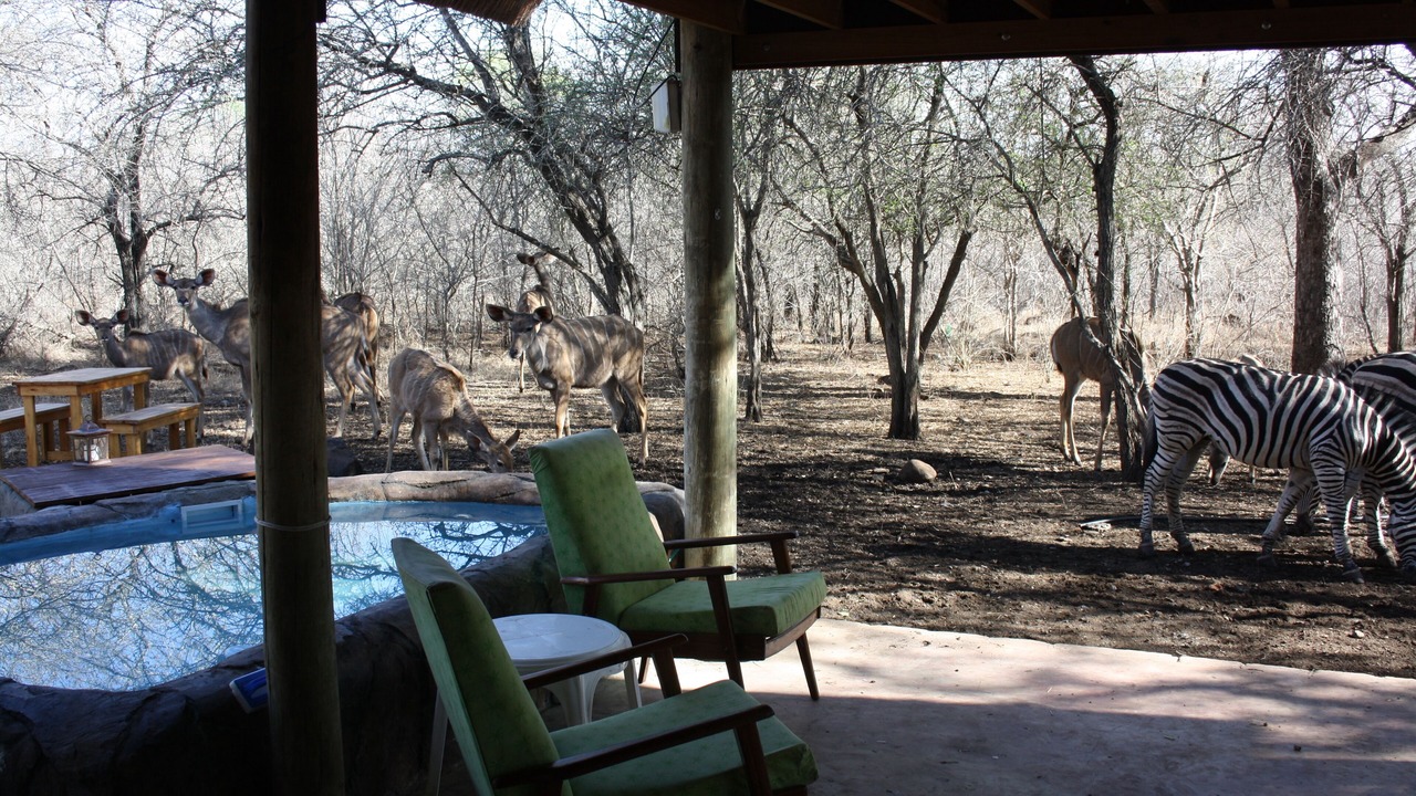 Photo of Outdoor in Marloth Park