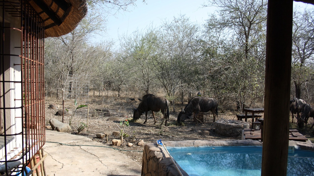 Photo of Outdoor in Marloth Park